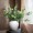 The Novogratz Ceramic Handmade Decorative Vase Centerpiece Vase with Terracotta Accents